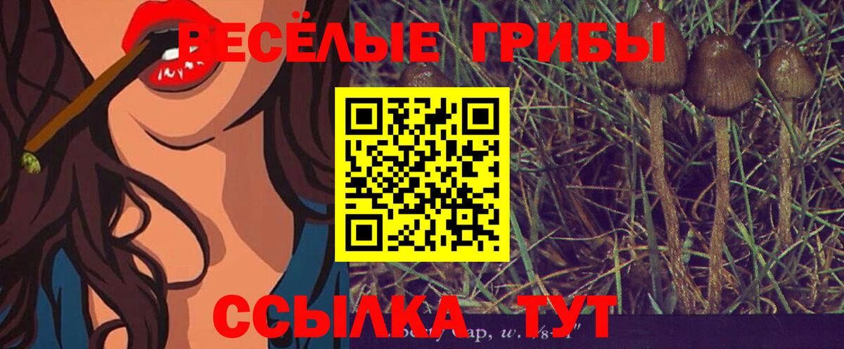 Псилоцибиновые грибы ЛСД Чапаевск